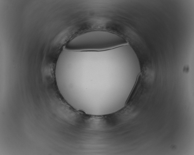 X0000111530280200907281409