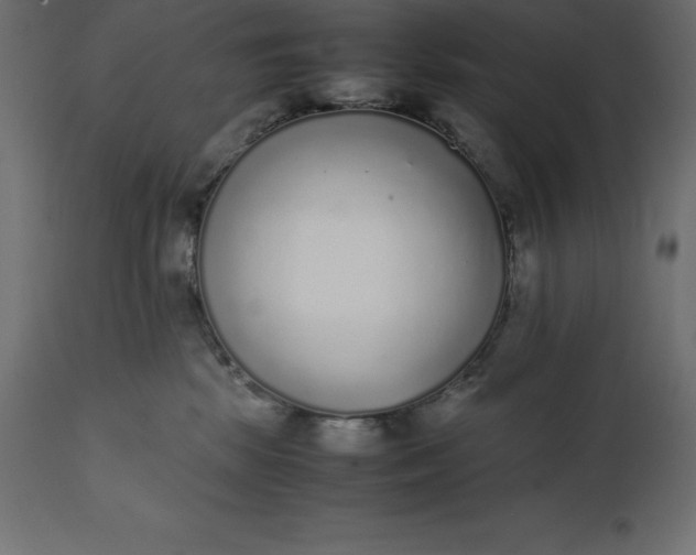 X0000111530281200907281409