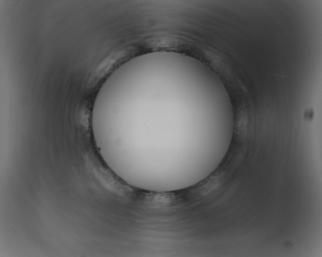 X0000111530282200907281410