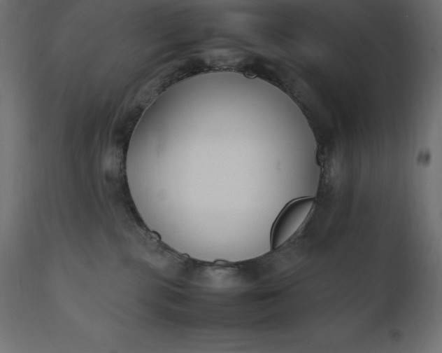 X0000111530283200907281410