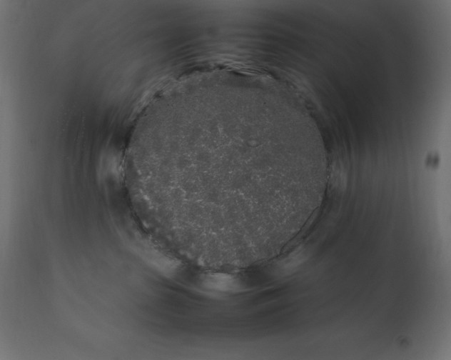 X0000111530285200907281410