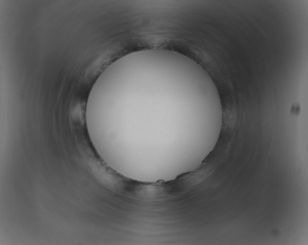 X0000111530286200907281410