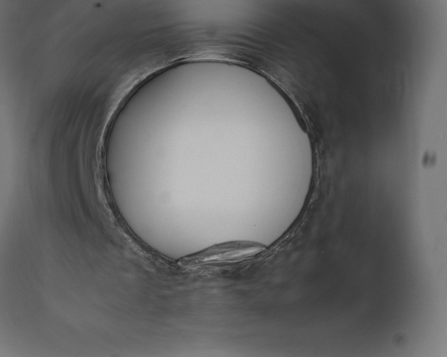 X0000111530289200907281409