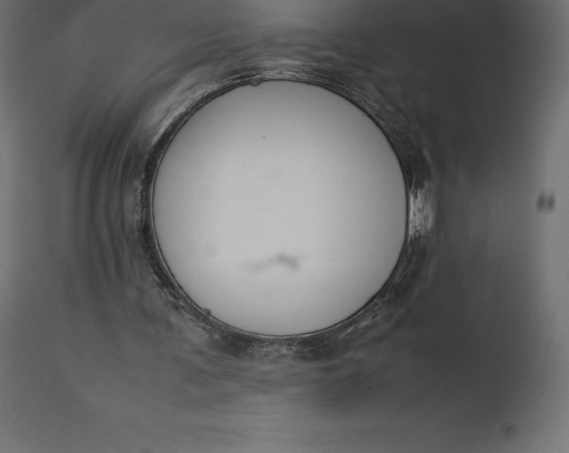 X0000111530291200907281409