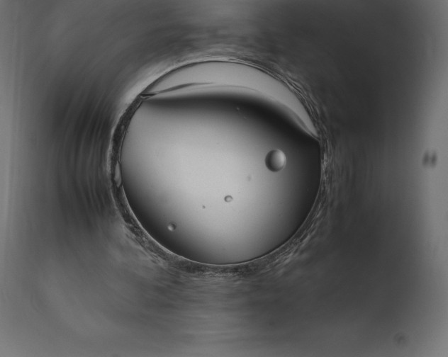 X0000111530292200907281409