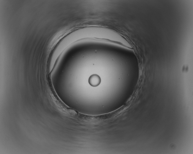 X0000111530293200907281409