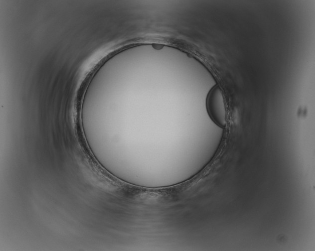 X0000111530294200907281409