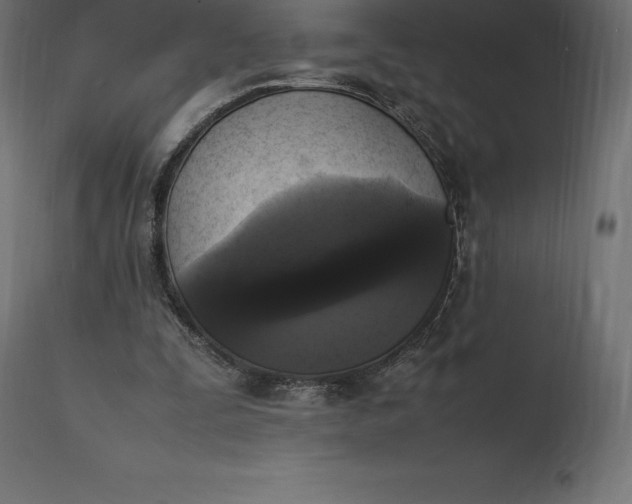 X0000111530295200907281409