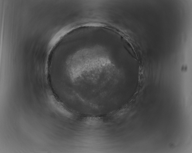 X0000111530296200907281409