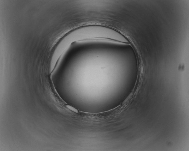 X0000111530297200907281409