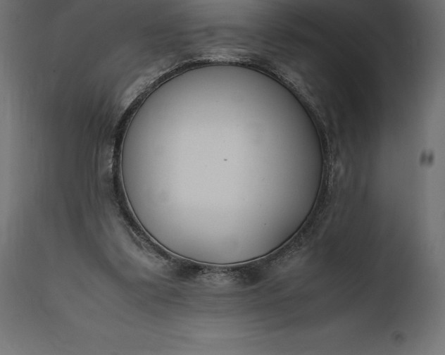 X0000111530299200907281409