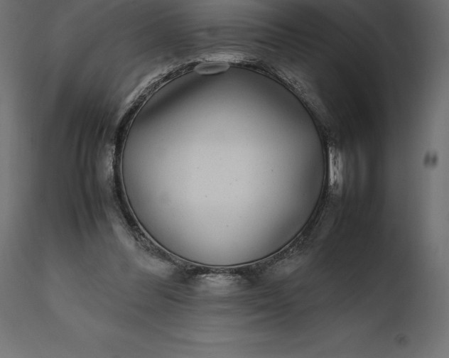 X0000111530300200907281409