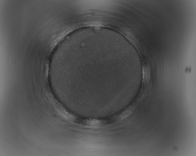 X0000111530301200907281409