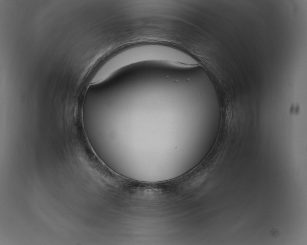 X0000111530304200907281409