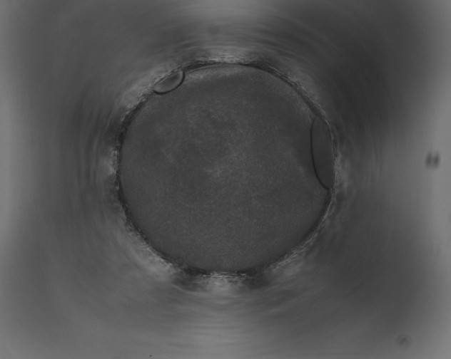 X0000111530305200907281409