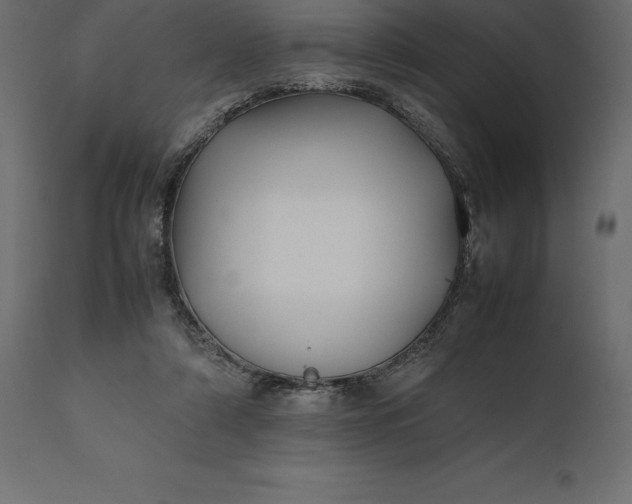 X0000111530306200907281409