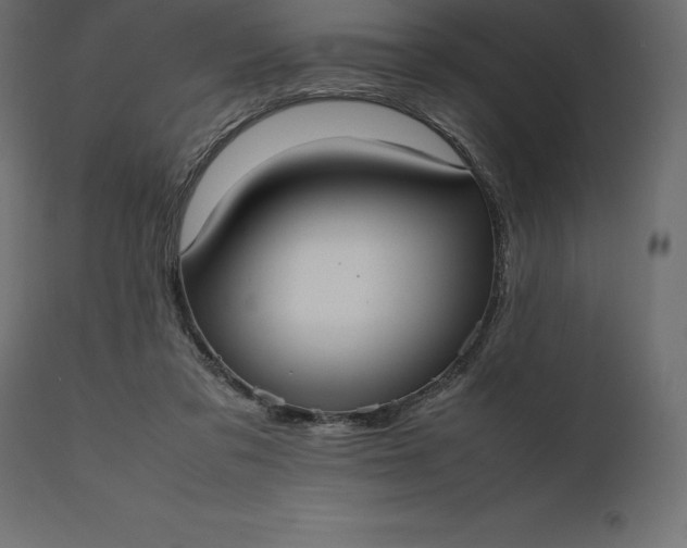 X0000111530309200907281408