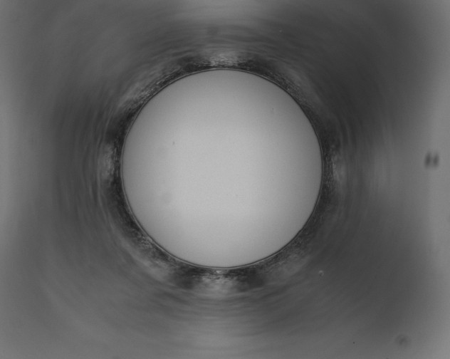 X0000111530311200907281408