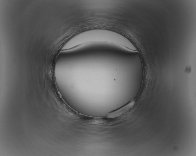 X0000111530313200907281408