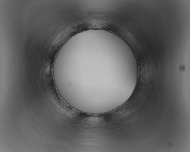 X0000111530314200907281408