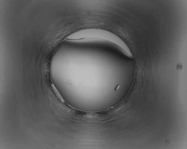 X0000111530317200907281408