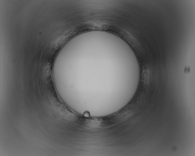 X0000111530318200907281408