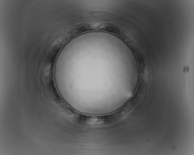 X0000111530319200907281408