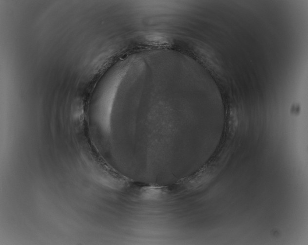 X0000111530320200907281408