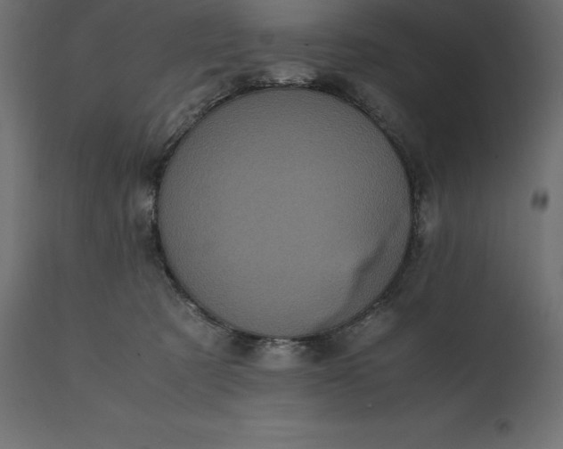 X0000111530321200907281408