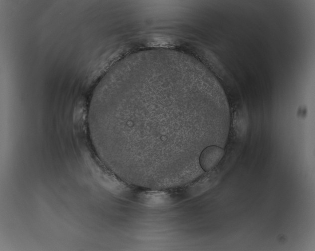 X0000111530322200907281408