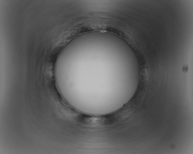 X0000111530323200907281408