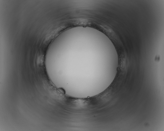 X0000111530326200907281408