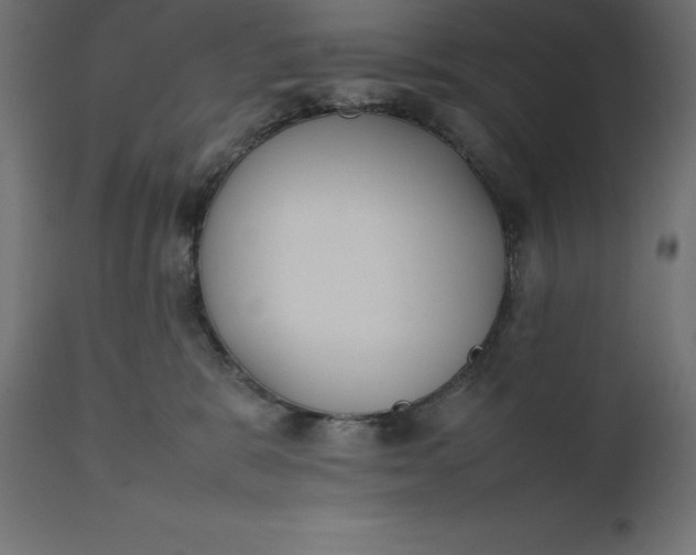 X0000111530327200907281408