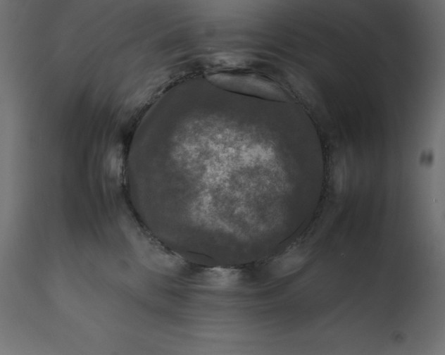 X0000111530328200907281408