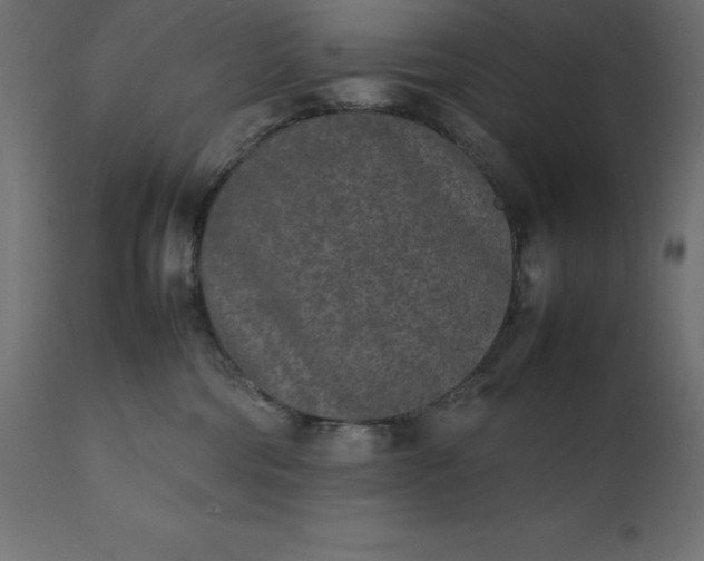 X0000111530330200907281408