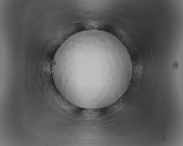 X0000111530331200907281408