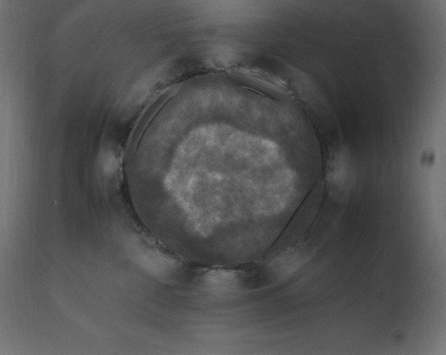 X0000111530332200907281408