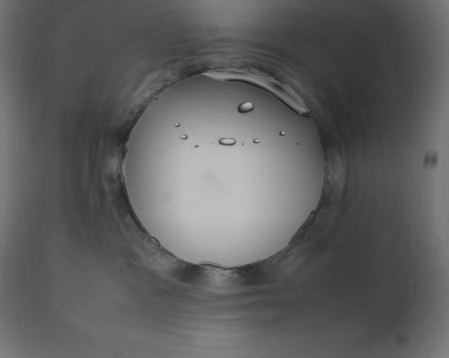 X0000111530333200907281408