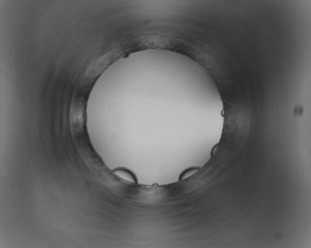 X0000111530334200907281408