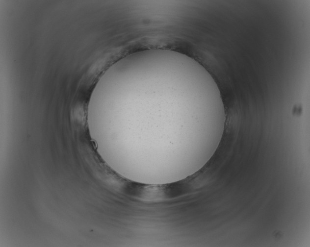 X0000111530335200907281408