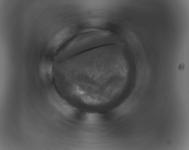 X0000111530336200907281408