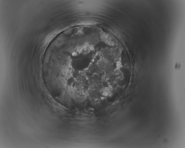 X0000111530337200907281407