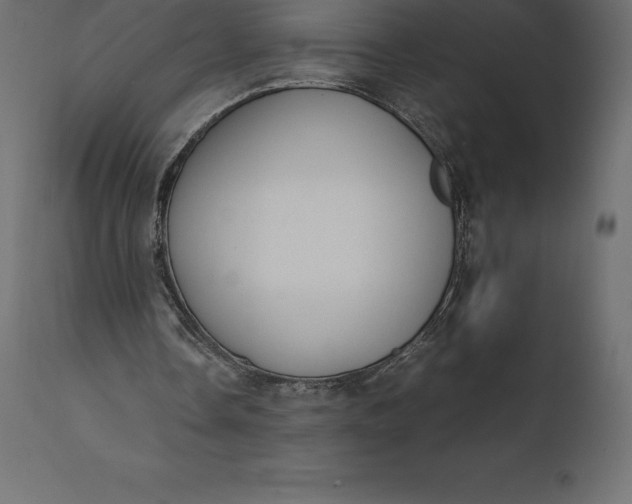 X0000111530338200907281407