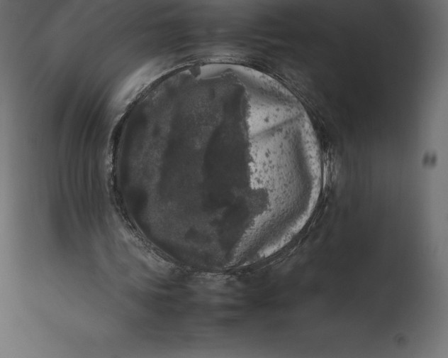 X0000111530339200907281407