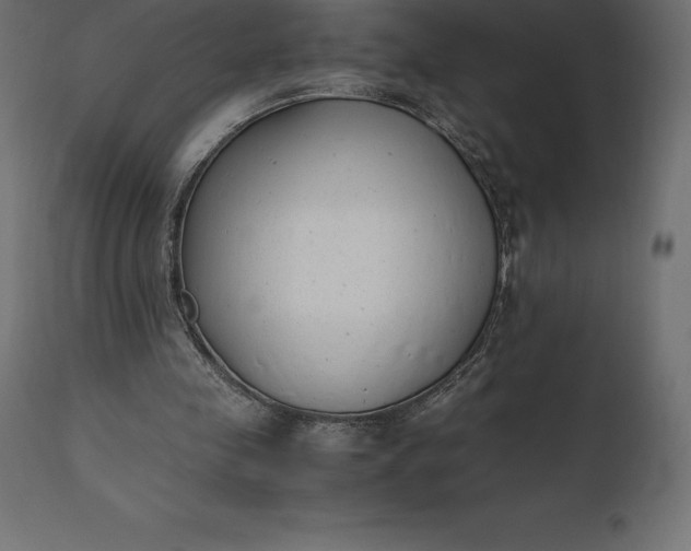 X0000111530341200907281408