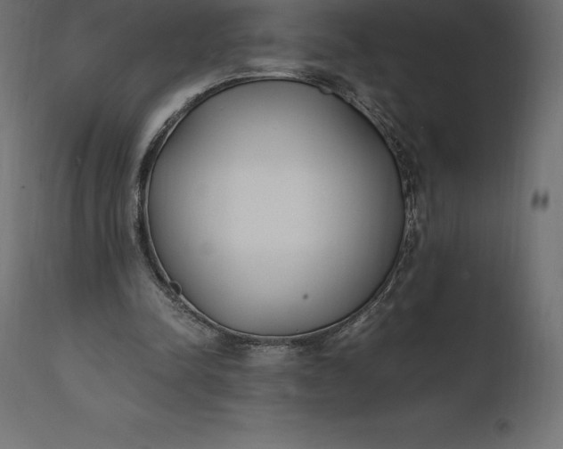 X0000111530342200907281408