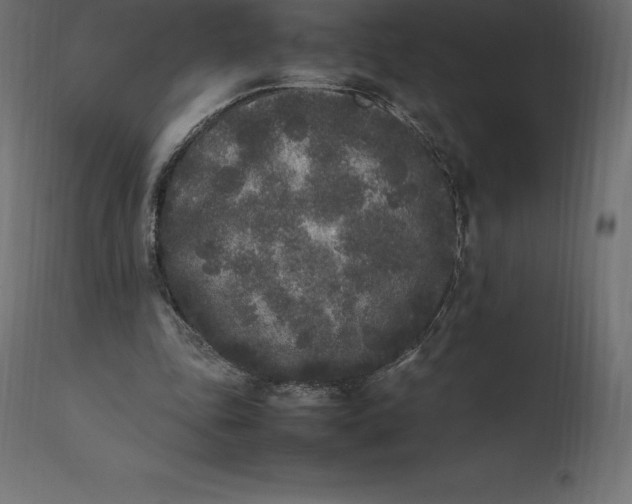 X0000111530343200907281408