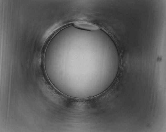 X0000111530344200907281408