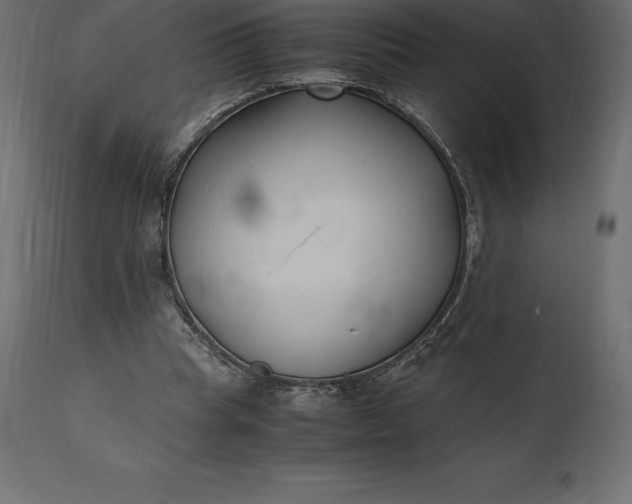 X0000111530345200907281408