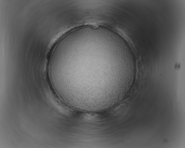 X0000111530346200907281408